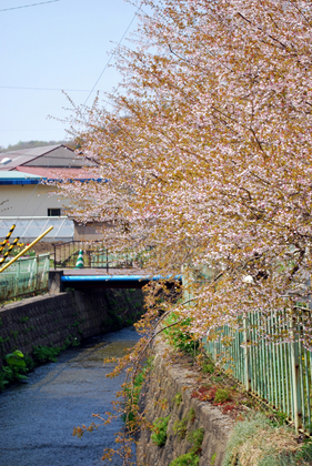 CSC_3117[1]
