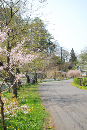 DSC_3057[1]