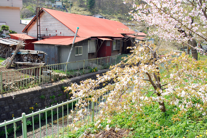 DSC_3058[1]
