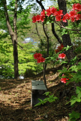 DSC_3343[1]