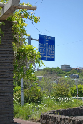 DSC_0493[1]