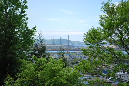 DSC_3325[1]