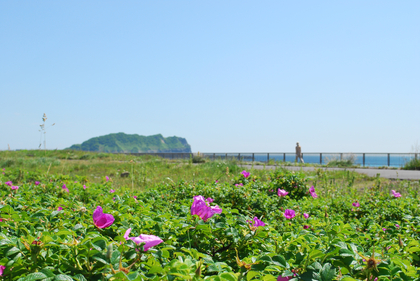 DSC_3487[1]