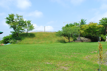 DSC_3559[1]