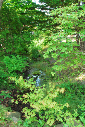 DSC_3564[1]
