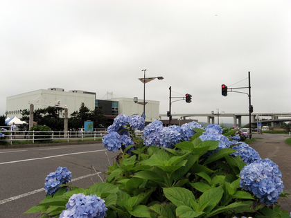 IMG_1123[1]