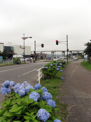 IMG_1124[1]