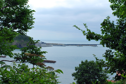 DSC_3671[1]