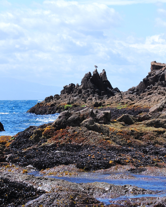 DSC_3848[1]