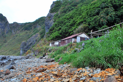 DSC_0866[1]