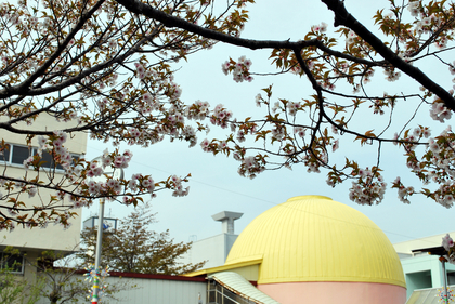 CSC_3177[1]