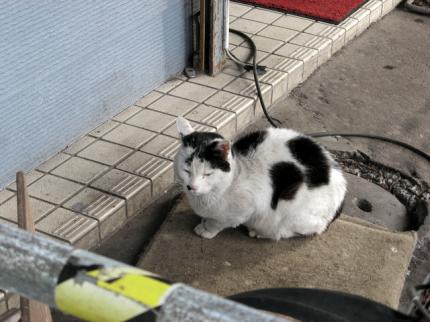 IMG_1549[1]
