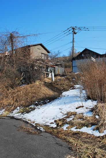 20110306 036[1]