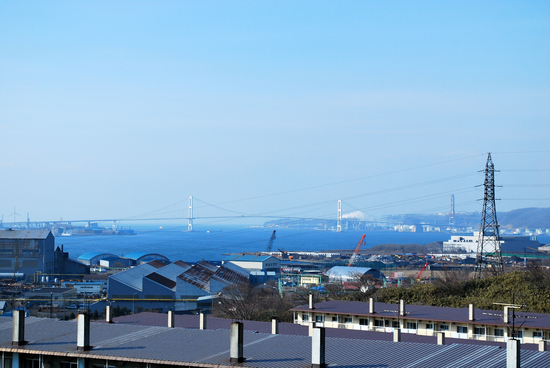 20110306 028[1]