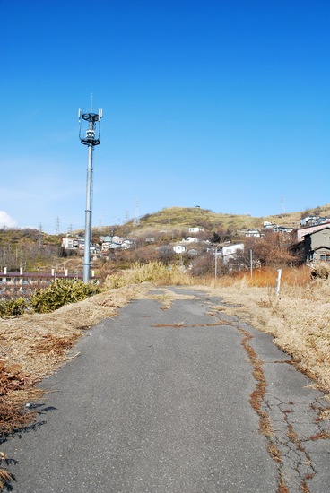 20110306 027[1]
