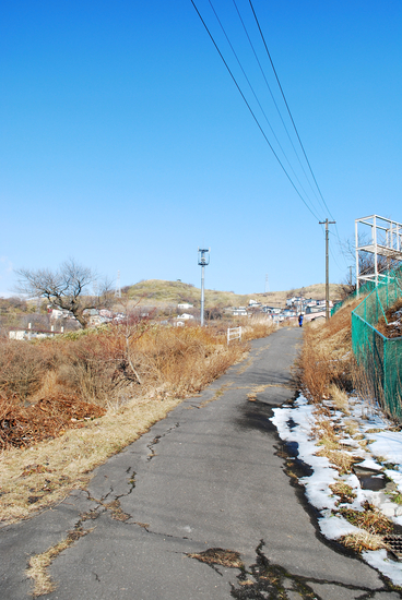 20110306 014[1]