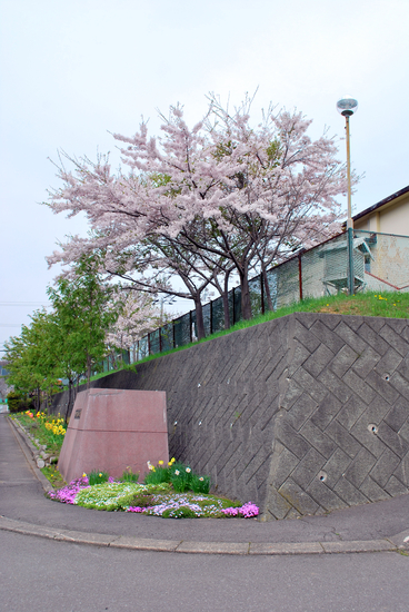 DSC_4871[1]