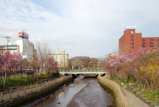 DSC_3026[1]