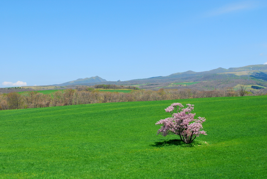 DSC_5071[1]