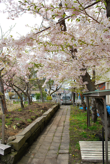 DSC_4793[1]