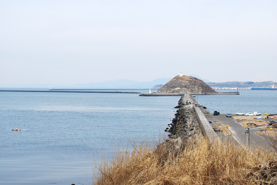 DSC_6669[1]