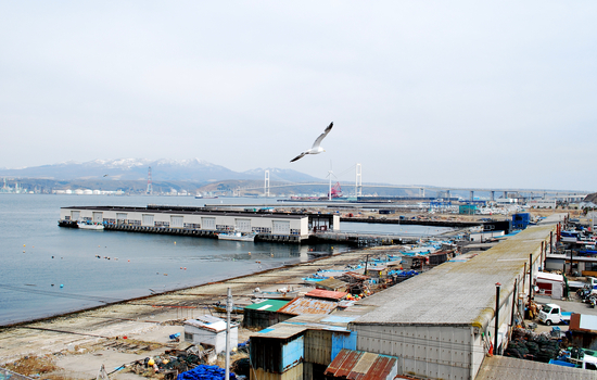 DSC_6658[1]