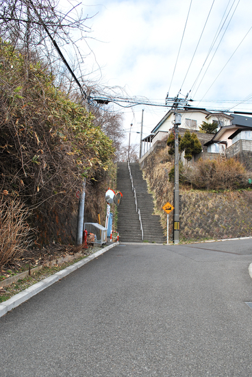 DSC_6714[1]