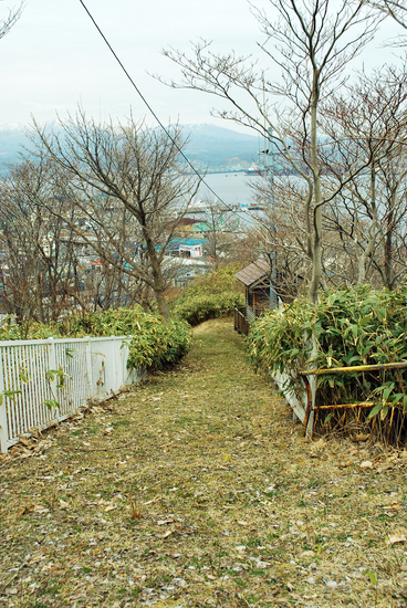 DSC_6734[1]
