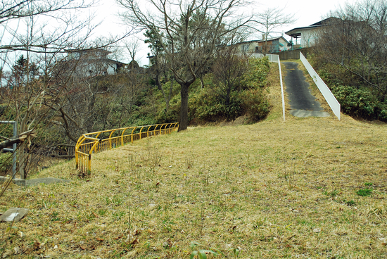DSC_6733[1]