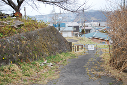 DSC_6749[1]