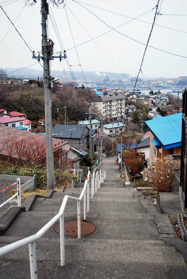 DSC_6755[1]