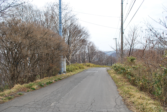 DSC_6767[1]