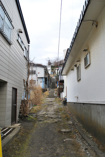 DSC_6774[1]