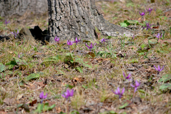 DSC_6958[1]