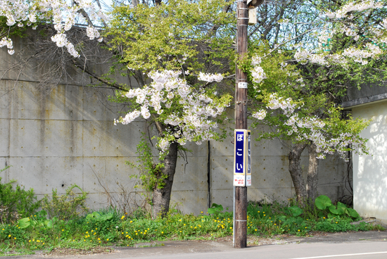 DSC_7561[1]