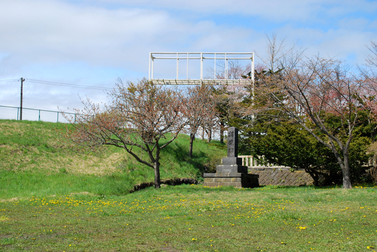 DSC_7375[1]