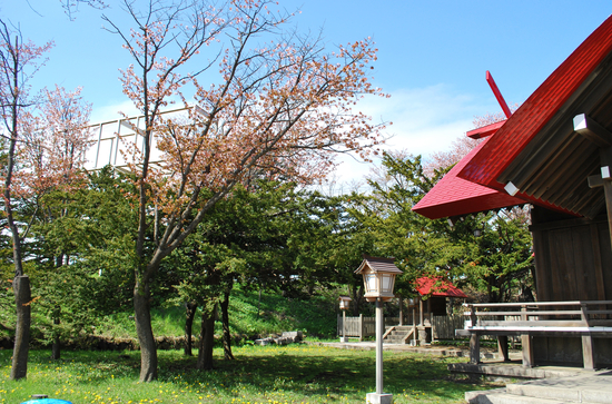 DSC_7372[1]