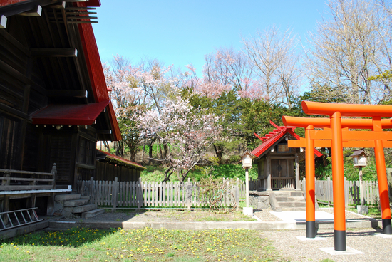 DSC_7370[1]