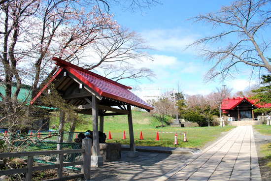 DSC_7379[1]