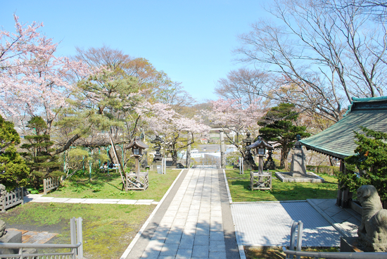 DSC_7430[1]