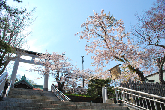DSC_7427[1]