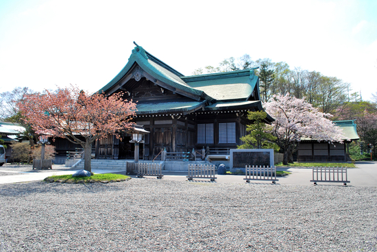 DSC_7441[1]
