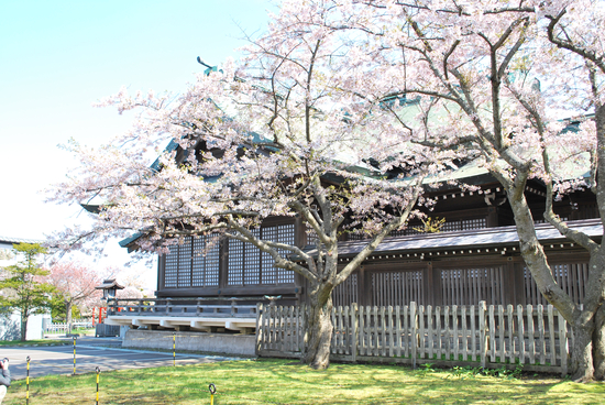 DSC_7445[1]
