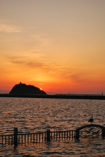 DSC_7664[1]