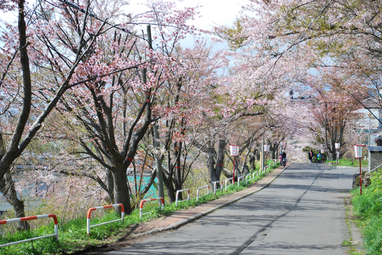 DSC_7390[1]