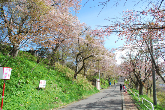 DSC_7386[1]