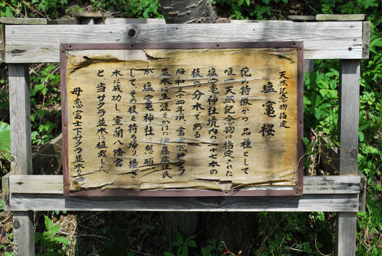 DSC_7388[1]