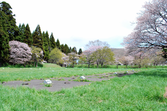 DSC_7305[1]
