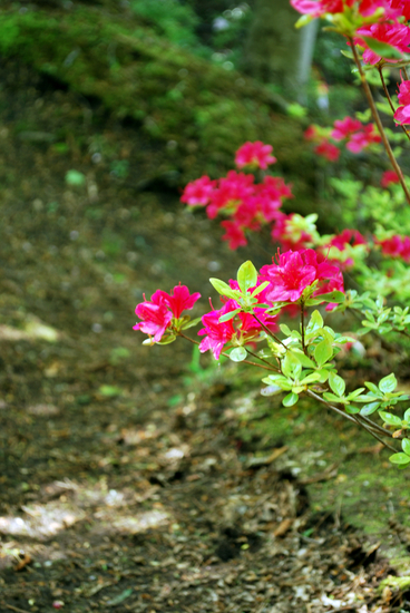 DSC_8801[1]