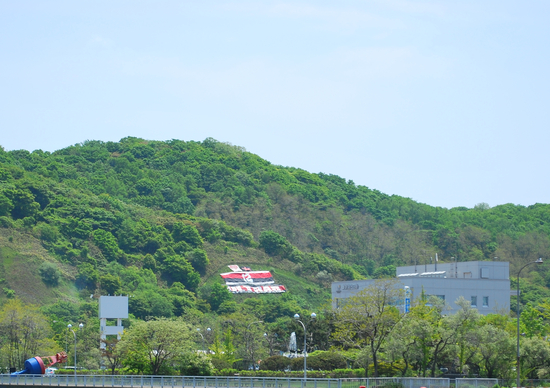 DSC_9418[1]